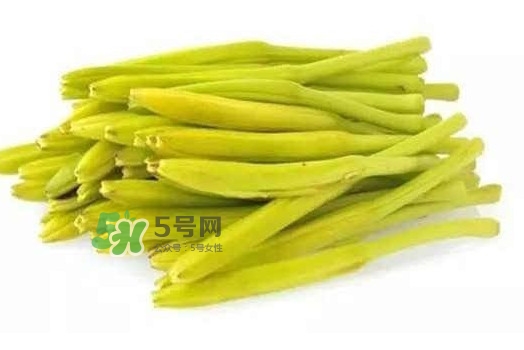 黃花菜是忘憂草嗎？黃花菜是不是金針菜