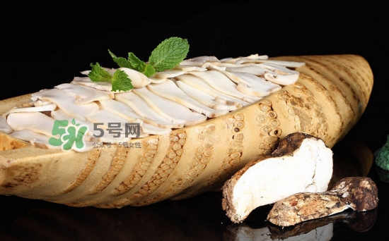 松茸可以人工種植嗎？松茸能人工種植嗎