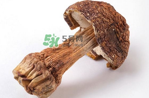 產(chǎn)婦能吃松茸嗎？哺乳期可以吃松茸嗎