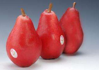 紅啤梨可以放冰箱嗎？紅啤梨怎么保存？