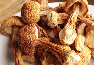 干松茸怎么清洗？干松茸如何辨別真?zhèn)?></a>
      <p class=