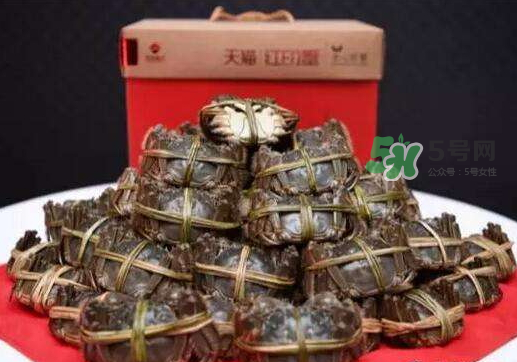 紅印蟹是什么_紅印蟹哪里買_紅印蟹什么時(shí)候上市