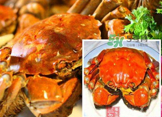 紅印蟹怎么回事？紅印蟹有什么不同？