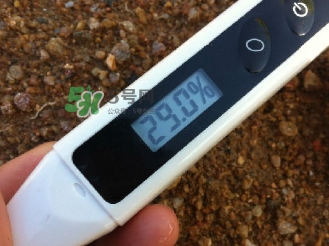 玫琳凱雙天后是什么？玫琳凱雙天后怎么樣