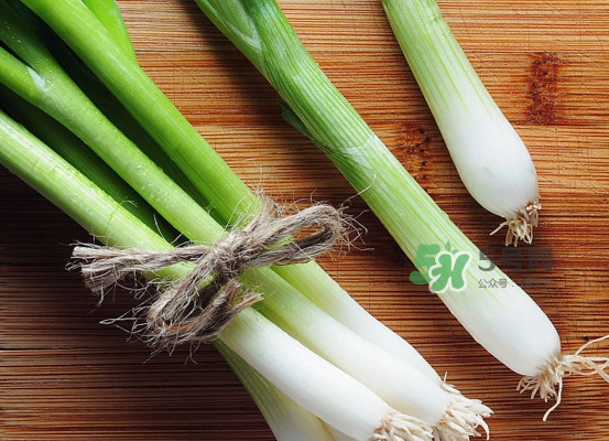 大蔥可以放冰箱嗎？大蔥可以放多久