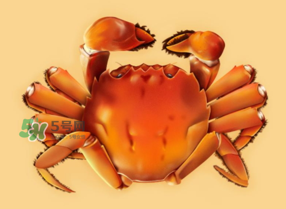 河蟹可以煮嗎？河蟹煮多長時間？