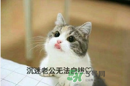 南方老公和東北老公哪個好？南方老公和東北老公的區(qū)別