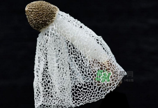 竹蓀有毒嗎？什么樣的竹蓀不能吃