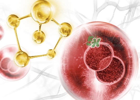 olay大紅瓶新版舊版哪個好？olay玉蘭油大紅瓶新版舊版區(qū)別