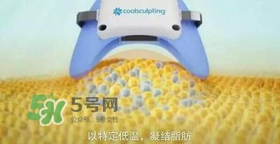 酷塑溶脂效果對比圖片 酷塑溶脂全過程記錄 酷塑溶脂效果對比圖片 酷塑溶脂全過程記錄