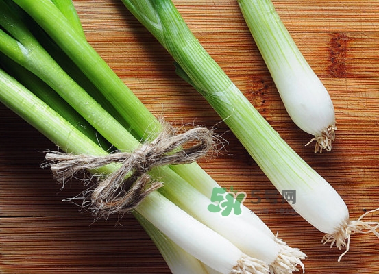 大蔥有病毒怎么去除？大蔥有黃點是什么原因