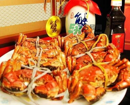 紅印蟹是什么_紅印蟹哪里買_紅印蟹什么時(shí)候上市