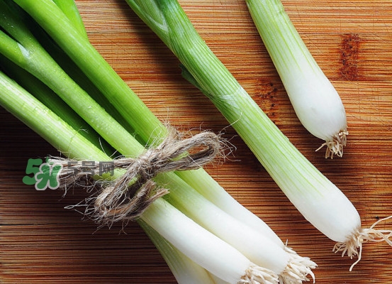 大蔥是蔥黃嗎？大蔥和蔥黃的區(qū)別