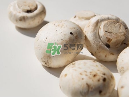 白蘑菇是什么種類？白蘑菇怎么洗才洗得干凈