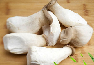 杏鮑菇是發(fā)物嗎？杏鮑菇怎么切好看