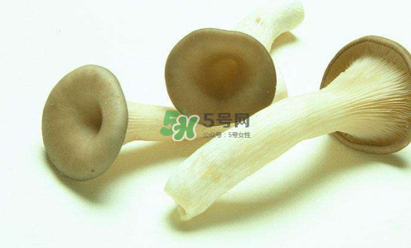 蘑菇不能和茄子一起吃嗎？蘑菇不能和什么一起吃？