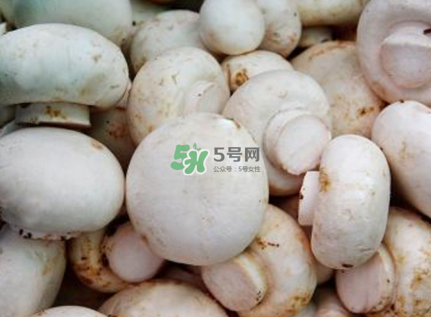 蘑菇變黑了還能吃嗎？蘑菇怎么保存？