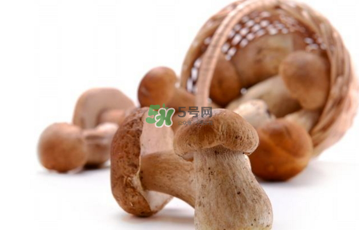 蘑菇能放冰箱嗎？蘑菇能放冰箱多長時間？