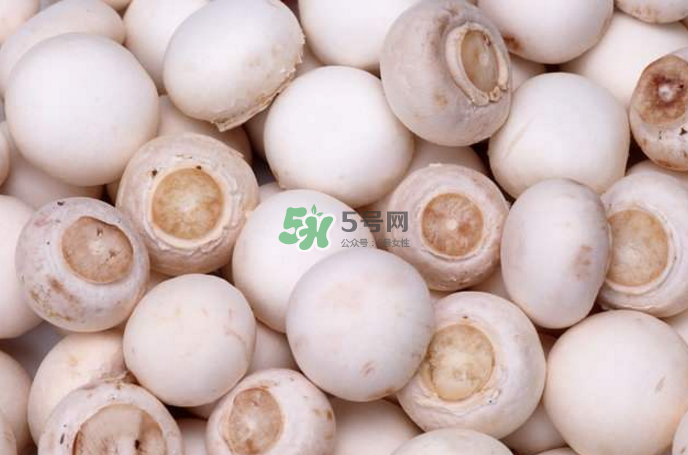 蘑菇能放冰箱嗎？蘑菇能放冰箱多長時間？