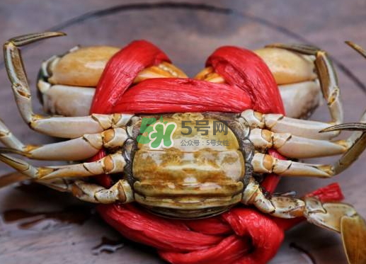 黃油蟹什么季節(jié)吃最好？黃油蟹產(chǎn)地