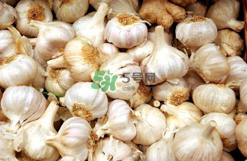 壽光大蒜有毒嗎？壽光毒大蔥事件