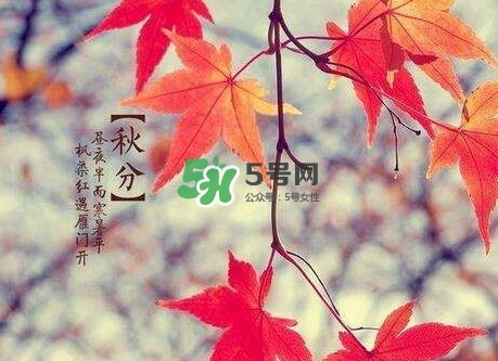 秋分是秋天到了嗎_秋分開始入秋了嗎_秋分是秋天開始嗎 秋分是秋天到了嗎_秋分開始入秋了嗎_秋分是秋天開始嗎