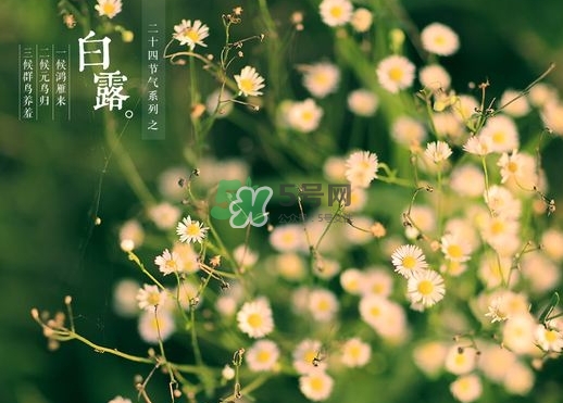 2017白露后天氣還熱嗎_2017白露后是秋天嗎 2017白露后天氣還熱嗎_2017白露后是秋天嗎