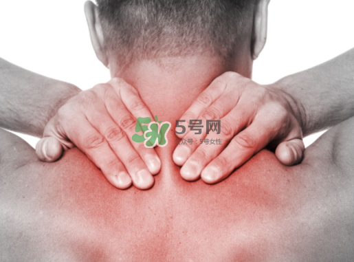 碧緹福護(hù)頸儀多少錢？碧緹福護(hù)頸儀價(jià)格