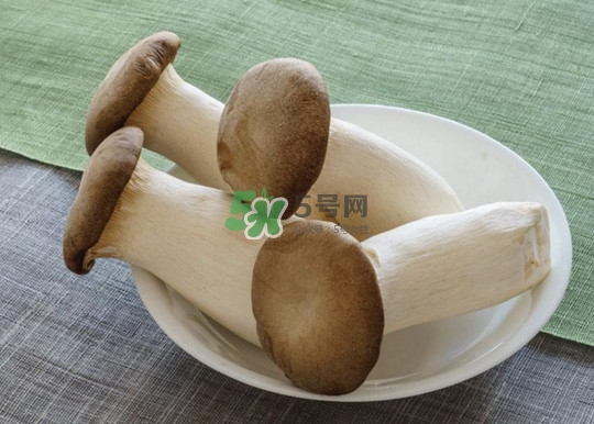 杏鮑菇怎么清洗？杏鮑菇怎么保存