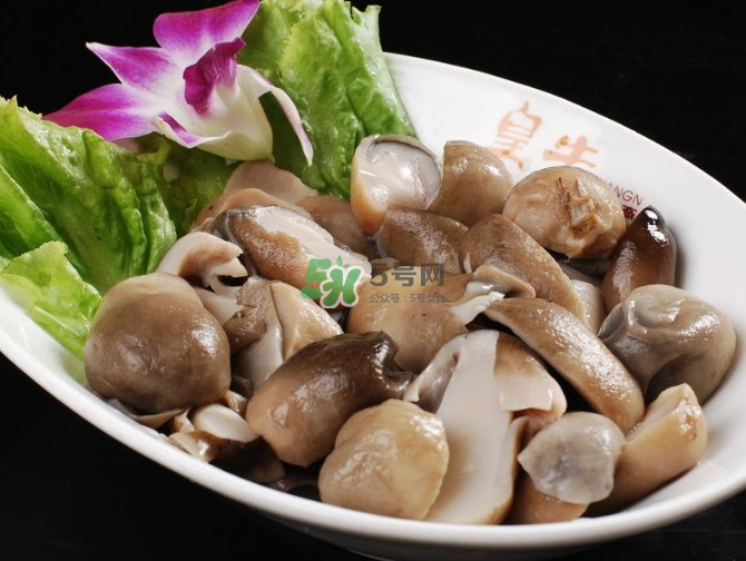 草菇孕婦能吃嗎？草菇要煮多久可以吃？