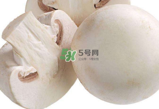 新鮮白蘑菇怎么做好吃？白蘑菇有什么好處