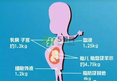 孕期體重增長標(biāo)準(zhǔn) 孕期體重增長過快怎么辦？