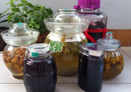 水果酵素是什么味道？水果酵素是酒嗎