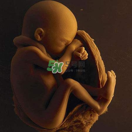 臍帶繞頸是什么意思？臍帶繞頸兩周怎么糾正？