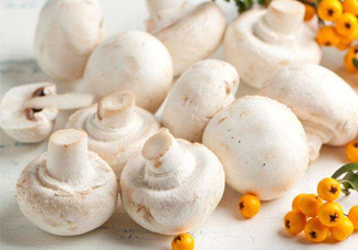 新鮮白蘑菇怎么做好吃？白蘑菇有什么好處