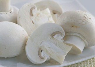 白蘑菇是什么蘑菇？白蘑菇有毒嗎