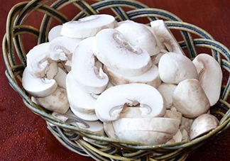 口蘑是發(fā)物嗎？口蘑是白蘑菇嗎