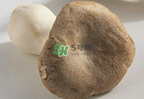 杏鮑菇用水焯嗎？杏鮑菇怎么做好吃