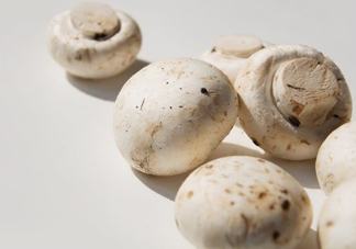 白蘑菇是什么種類？白蘑菇怎么洗才洗得干凈