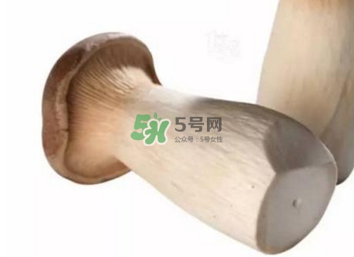 杏鮑菇有苦味還能吃嗎？杏鮑菇有酒味是壞了嗎