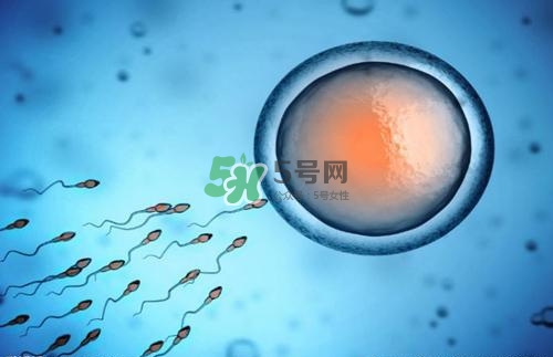 精子在女性體內(nèi)可以存活多久？男性的精子會枯竭嗎？