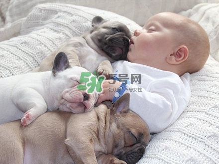 孕婦不能養(yǎng)寵物嗎？為什么孕婦不能養(yǎng)寵物？