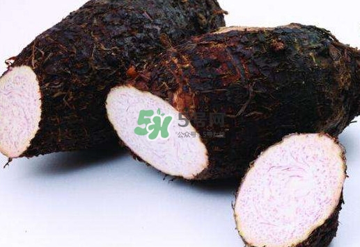 香芋是發(fā)物嗎？香芋怎么吃