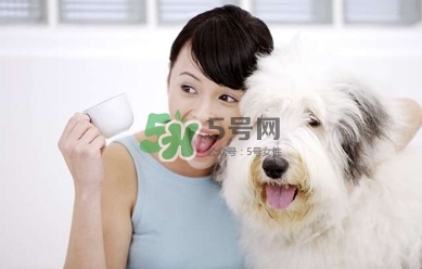 孕婦能養(yǎng)狗嗎？孕婦養(yǎng)狗注意事項