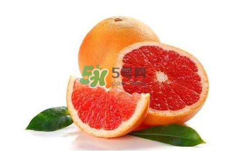 葡萄柚是什么季節(jié)的水果？葡萄柚是柚子嗎
