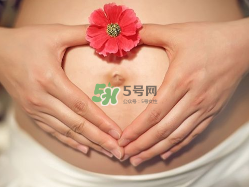 秋天孕婦可以吃絲瓜嗎？秋天孕婦吃絲瓜好嗎？