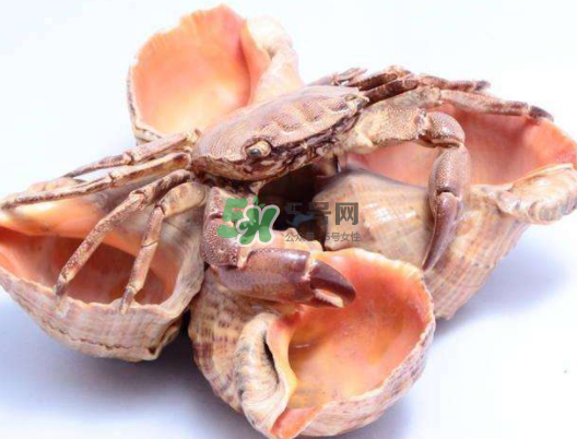 螃蟹殼里的東西是什么？螃蟹殼里什么不能吃？