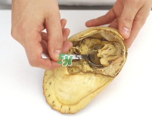 螃蟹殼里的東西是什么？螃蟹殼里什么不能吃？