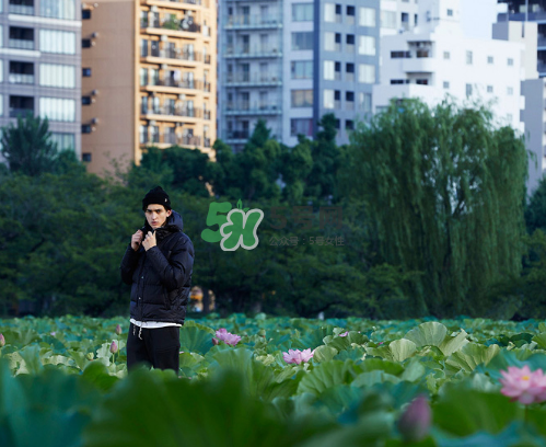 citera2017秋冬系列怎么樣_好看嗎_款式有哪些？