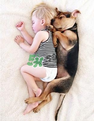 孕婦能養(yǎng)狗嗎？孕婦養(yǎng)狗注意事項